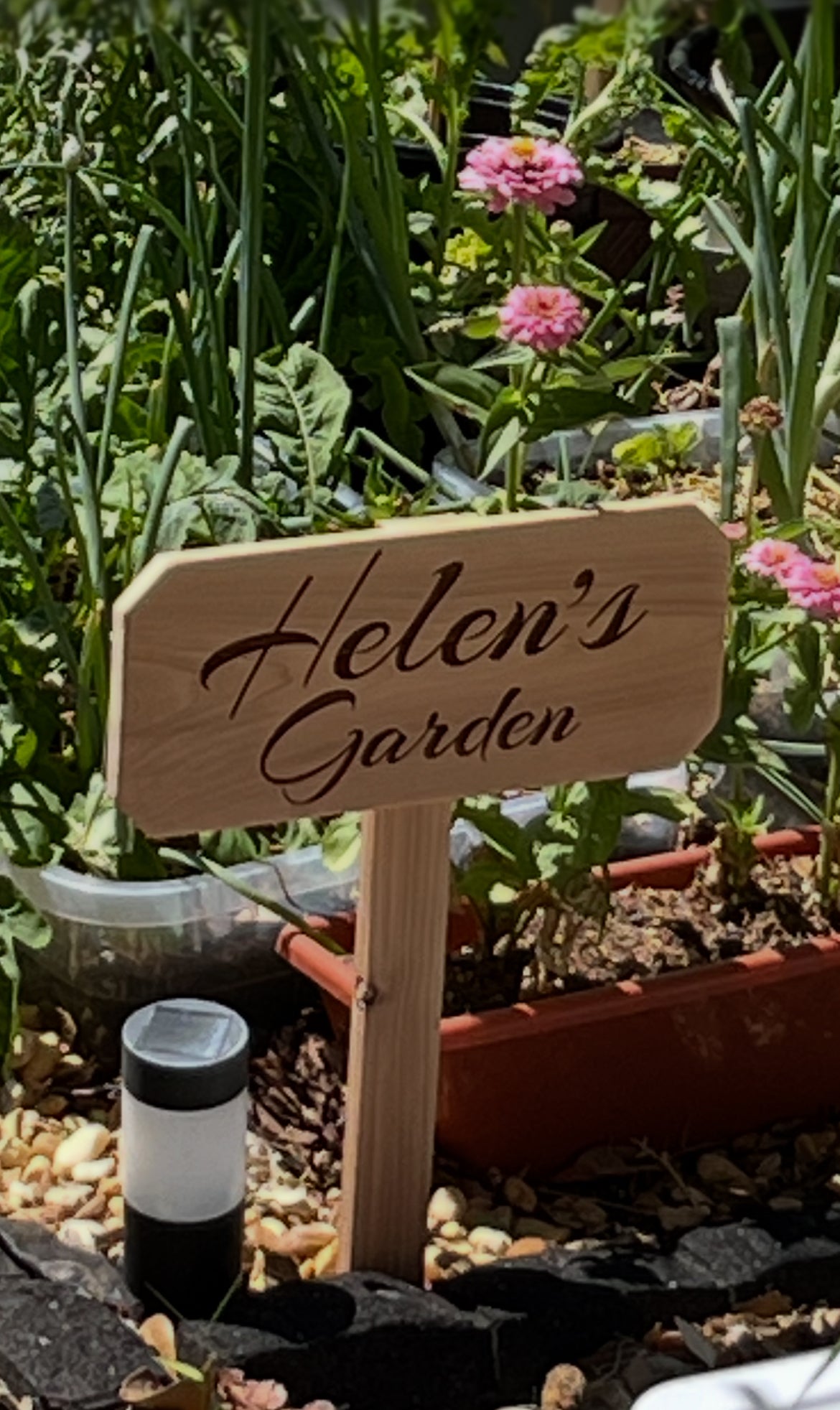 Cedar Garden Sign image 3